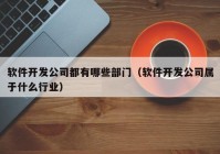 软件开发公司都有哪些部门（软件开发公司属于什么行业）