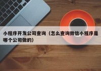 小程序开发公司查询（怎么查询微信小程序是哪个公司做的）