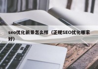 seo优化前景怎么样（正规SEO优化哪家好）