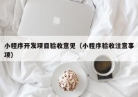 小程序开发项目验收意见（小程序验收注意事项）