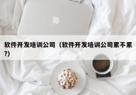 软件开发培训公司（软件开发培训公司累不累?）