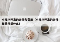 小程序开发的条件和费用（小程序开发的条件和费用是什么）