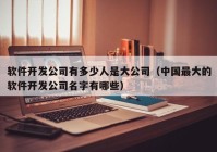 软件开发公司有多少人是大公司（中国最大的软件开发公司名字有哪些）