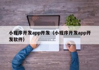 小程序开发app开发（小程序开发app开发软件）