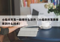 小程序开发一般用什么软件（小程序开发需要用到什么技术）