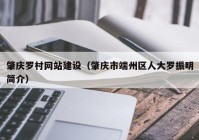 肇庆罗村网站建设（肇庆市端州区人大罗振明简介）