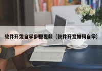 软件开发自学步骤视频（软件开发如何自学）