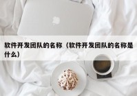 软件开发团队的名称（软件开发团队的名称是什么）