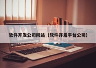 软件开发公司网站（软件开发平台公司）