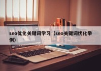 seo优化关键词学习（seo关键词优化举例）