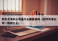 软件开发的公司是什么都能做吗（软件开发公司一般做什么）