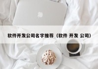 软件开发公司名字推荐（软件 开发 公司）