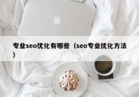 专业seo优化有哪些（seo专业优化方法）