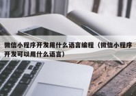 微信小程序开发用什么语言编程（微信小程序开发可以用什么语言）