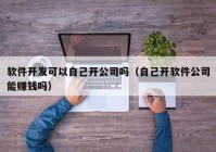 软件开发可以自己开公司吗（自己开软件公司能赚钱吗）