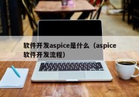 软件开发aspice是什么（aspice软件开发流程）