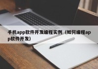 手机app软件开发编程实例（如何编程app软件开发）