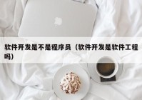 软件开发是不是程序员（软件开发是软件工程吗）